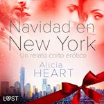 Navidad en Nueva York - un relato corto erótico