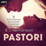 Pastori - 8 kiihottavaa eroottista novellia tabuista