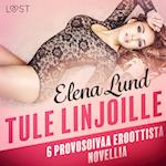 Tule linjoille - 6 provosoivaa eroottista novellia