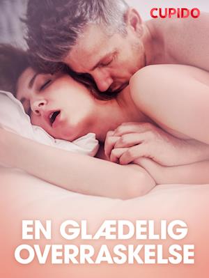 En glædelig overraskelse - erotisk novelle