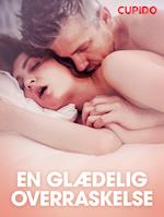 En glædelig overraskelse - erotisk novelle