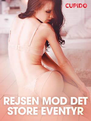 Rejsen mod det store eventyr - erotiske noveller