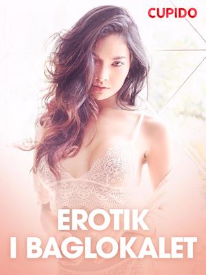 Erotik i baglokalet - erotisk novelle