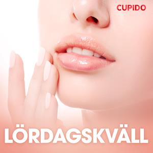 Lördagskväll - erotiska noveller