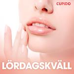 Lördagskväll - erotiska noveller