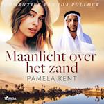 Maanlicht over het zand