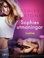 Sophies utmaningar 3: Justine - erotisk novell