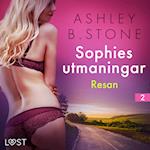 Sophies utmaningar 2: Resan - erotisk novell