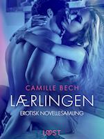 Lærlingen – erotisk novellesamling