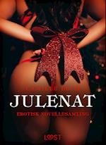 Julenat – erotisk novellesamling