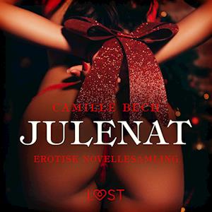 Julenat – erotisk novellesamling