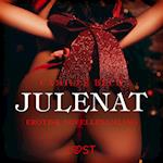 Julenat – erotisk novellesamling