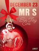 December 23: Mr S – An Erotic Christmas Calendar
