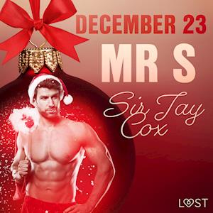 December 23: Mr S – An Erotic Christmas Calendar