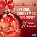 December 16: A Special Christmas Delivery – An Erotic Christmas Calendar