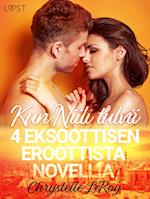 Kun Niili tulvii - 4 eksoottisen eroottista novellia