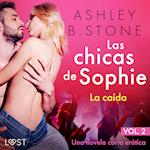 Las chicas de Sophie 2 - La caída - Una novela corta erótica