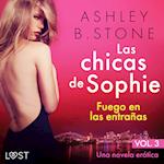 Las chicas de Sophie 3: Fuego en las entrañas - Una novela erótica