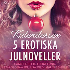 Kalendersex - 5 erotiska julnoveller