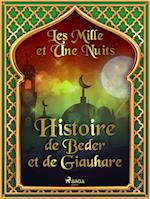 Histoire de Beder et de Giauhare