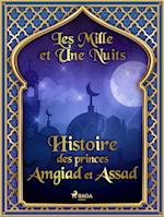 Histoire des princes Amgiad et Assad