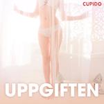 Uppgiften – erotiska noveller