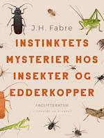 Instinktets mysterier hos insekter og edderkopper