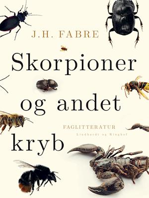 Skorpioner og andet kryb