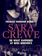 Sara Crewe or What Happened at Miss Minchin's