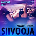 Kielletyt paikat: Siivooja - eroottinen novelli