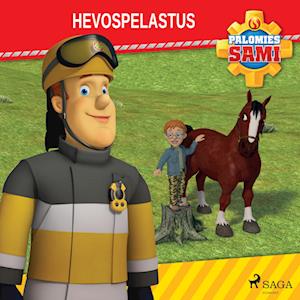 Palomies Sami - Hevospelastus