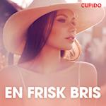 En frisk bris – erotisk novell