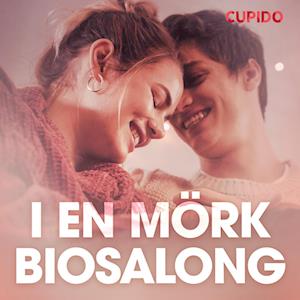 I en mörk biosalong – erotisk novell