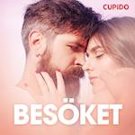 Besöket – erotisk novell