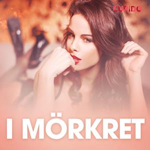 I mörkret – erotisk novell