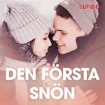 Den första snön – erotisk novell