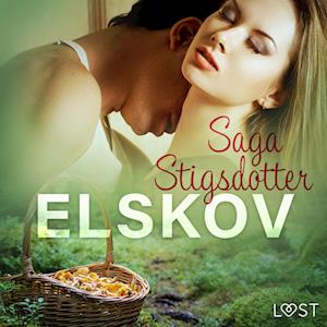 Elskov – erotisk novelle