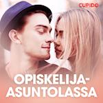 Opiskelija-asuntolassa – eroottinen novelli