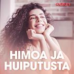 Himoa ja huiputusta – eroottinen novelli