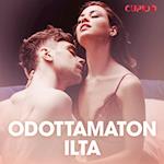 Odottamaton ilta – eroottinen novelli