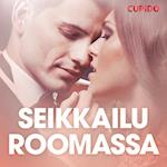 Seikkailu Roomassa – eroottinen novelli