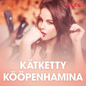 Kätketty Kööpenhamina – eroottinen novelli