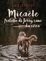 Micaèle fratello di Jerry cane da circo