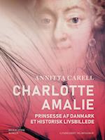 Charlotte Amalie, Prinsesse af Danmark. Et historisk livsbillede