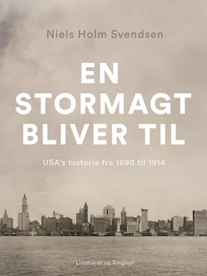 En stormagt bliver til. USA's historie fra 1890 til 1914