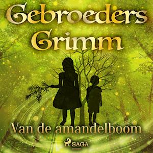 Van de amandelboom