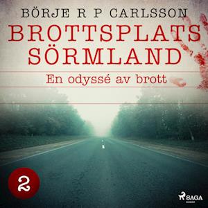 Brottsplats Sörmland. 2, En odyssé av brott