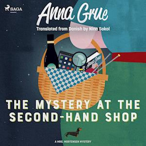 The Mystery at the Second-Hand Shop