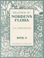 Billeder af Nordens flora. Bind 3