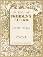 Billeder af Nordens flora. Bind 2